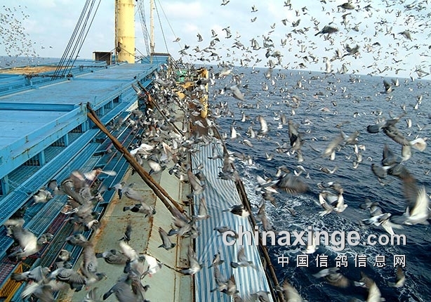 �������𶪸볬��ǧ ����һ��ȫ�������