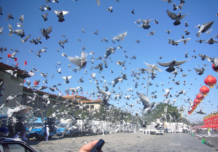 ������9�������ʸ� ��ӭӻԾ����