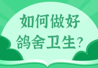 ������ø�������