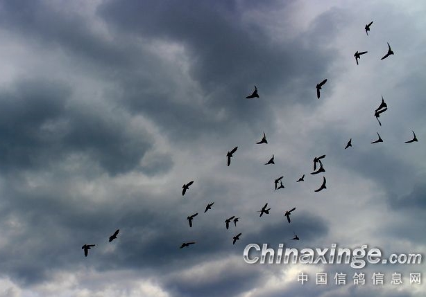 ���괩Խ��Ͽ 500��С����ս���Ѷȱ���