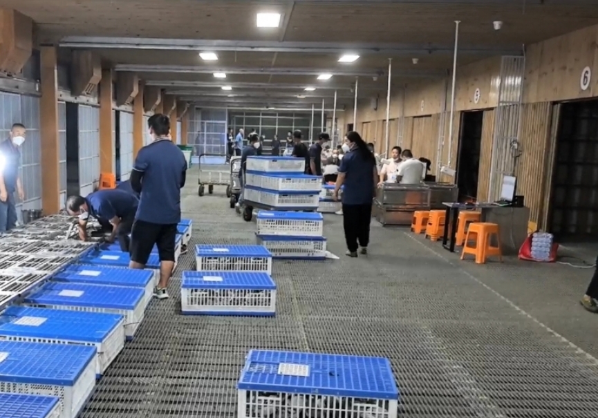 ����ȫ�����������ݰ���Ե60�����ʸ����鳲���˳�