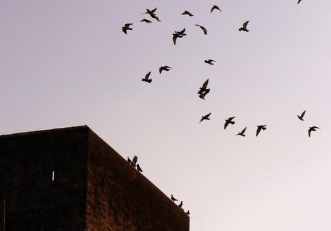 ���Ӽҷ�Ϊ�β��ɣ�