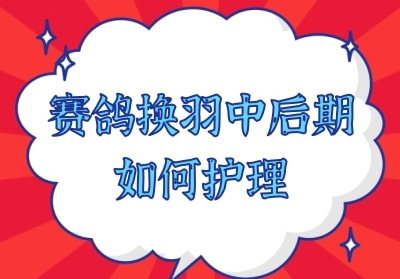 ���뻻���к�����λ�����