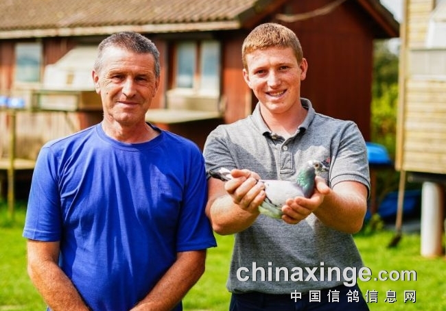 СѪϵٷ񣡲VɸھѪͳ