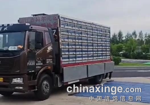 ����ɱ��ǰ�� ���ɹ�һ�����ս���ųɹ�