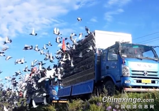 70������������ѵ�ŷѡ���ѣ���Ҹ����������ѳ�