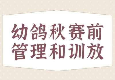 �׸�����ǰ�Ĺ�����ѵ��