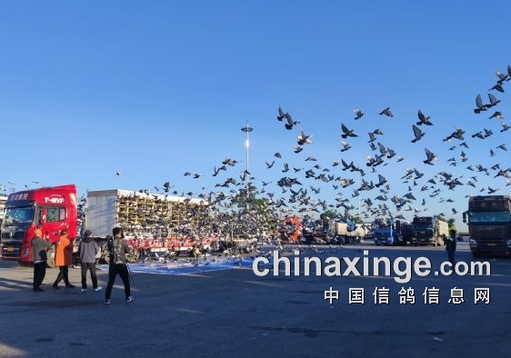 ����ǰ���������ǧ����������¾���