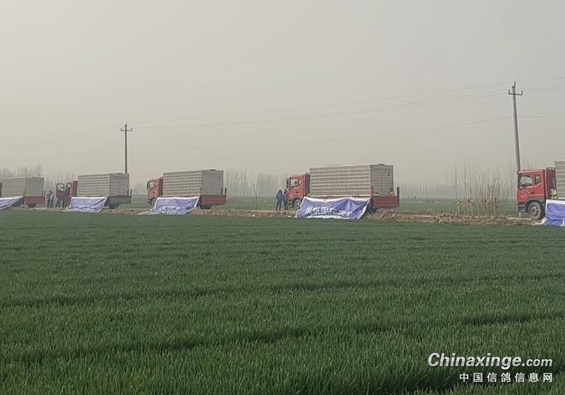 ������᣺���濪չ��ǰ�Ϲ��Բ飡�������վ���ھٰ죡