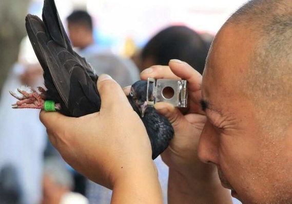 9��������� ���ۼ��벻�ǿ�Ѩ����