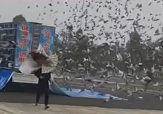 ��ǧ�������������������ɳ����ź�