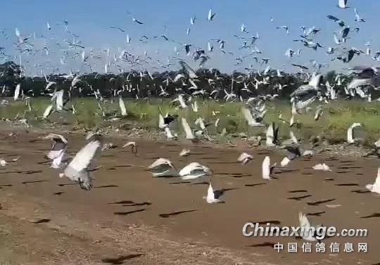 �ļҹ�������ʸ��� �Ĵ���������һ��