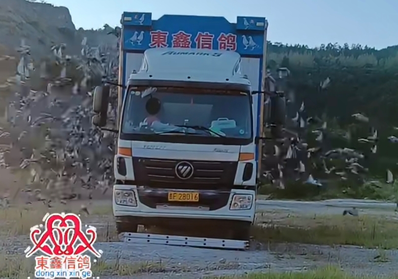 ����ǧ������ ����һ���ֲ�500���￪��