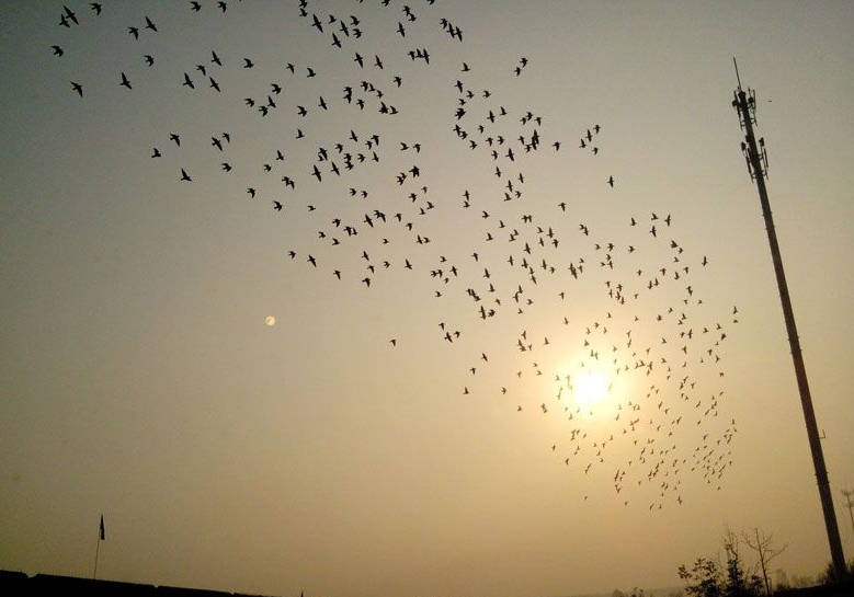 ������ȡ�Ǽ��� ����һ���ֲ��׹ظ��