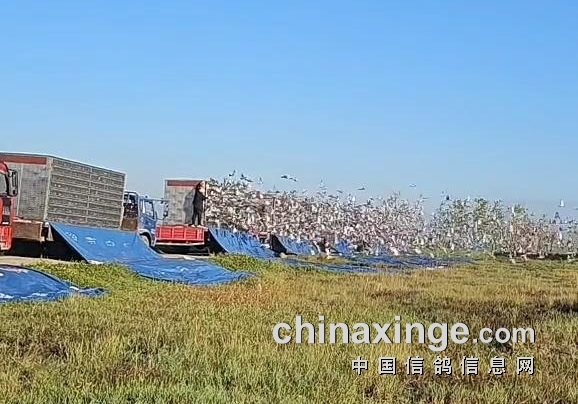 ��������� �������������շ�վ���ź�