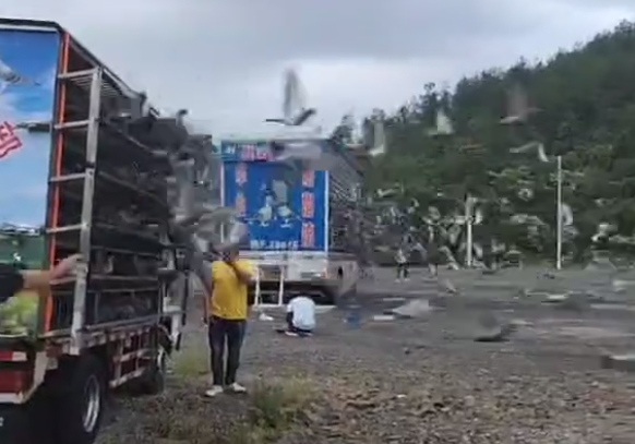 ��ǧ����ꪣ����������ʩ�����������