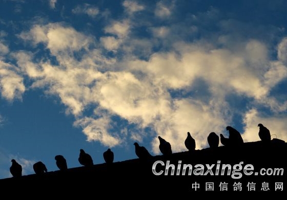 һ��������ǰ22�� ͨ�ɸ���ٶ����ɳ����λ�