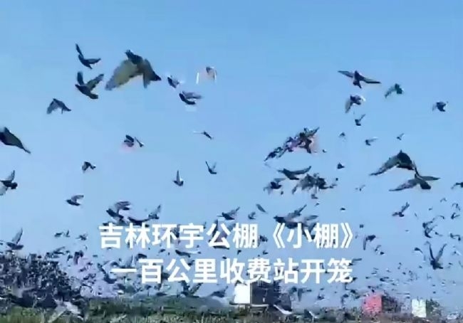 һ���ܶ�� ����һ�����շ�վǰʮ�Ұ�