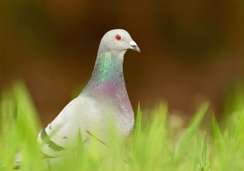 �ܿ�������̸̸�����������Щ�ؼ���