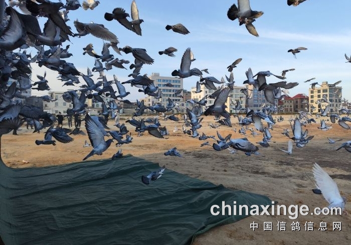 ǰ��ǿռ���� ����һ����ʸ�������ʮ��