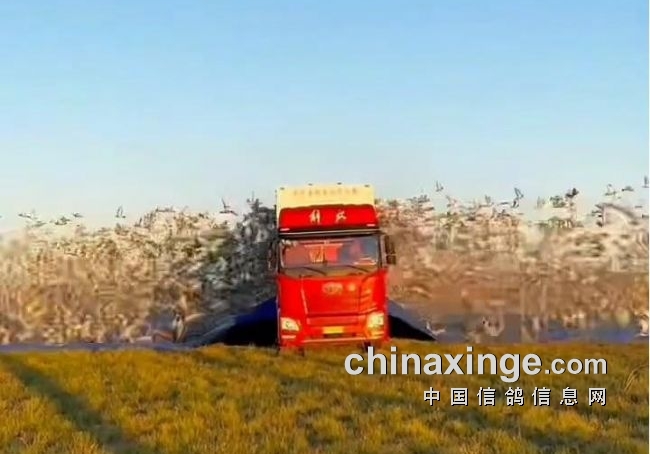 һ��˫�����¹ڼ��� �����ʸ���Ժ������