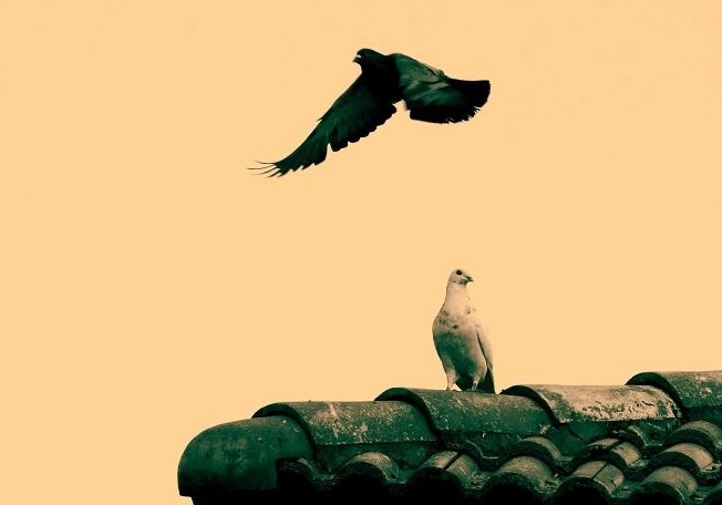 ���Ҿ�����հ� ��������Ի�