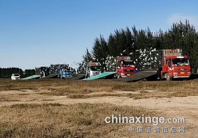 2��������ս���죡�������շ�վ˳���չ�