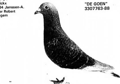 ��ϵ����֮�ش��� ���������ĸ��ղɭ��