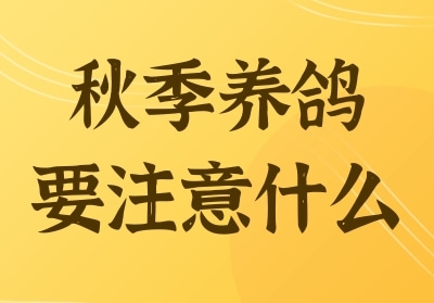 �＾���� Ҫע��ʲô