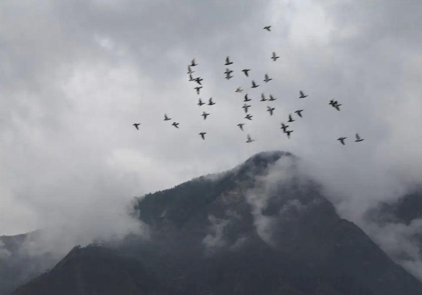 ���ݾ��ֲ�ǧ��������� ���˻���