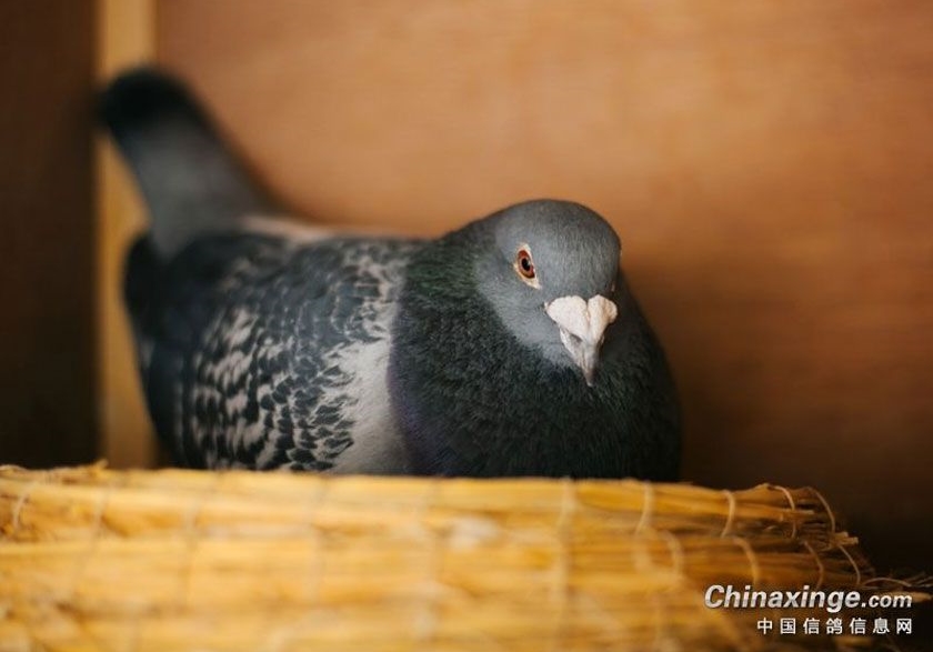 �������飺�����ĸ��Ӷ����У�