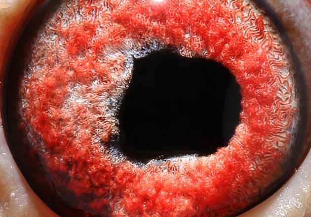 ���������ô��ô�֣�