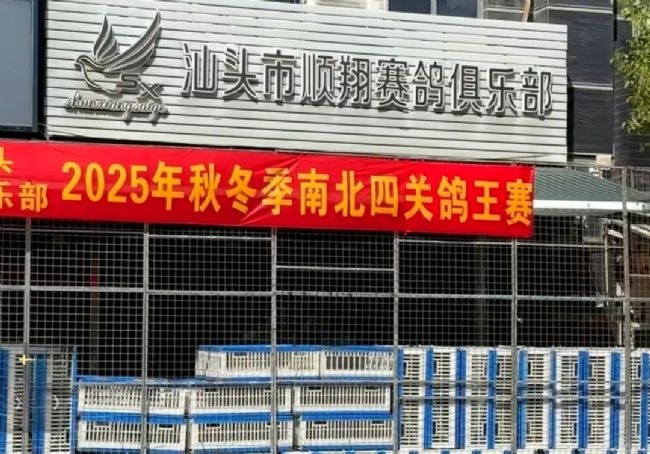 ʵ���Ŷ��ٱ��� �㶫һ���ֲ��ʸ���Ұ�