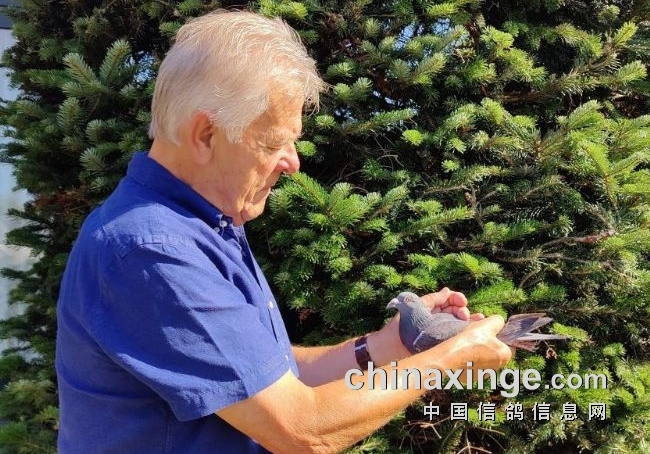 ŸӰĪʡ˫ ָ롰ˡû