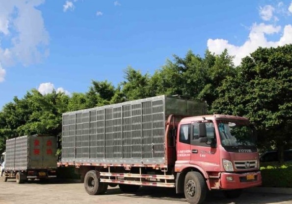 ��߷���1841��������ͥ������ǧ��ϲӭ���ź�