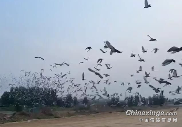 ɽ��ج�Σ���������������ǧ���չ�14��