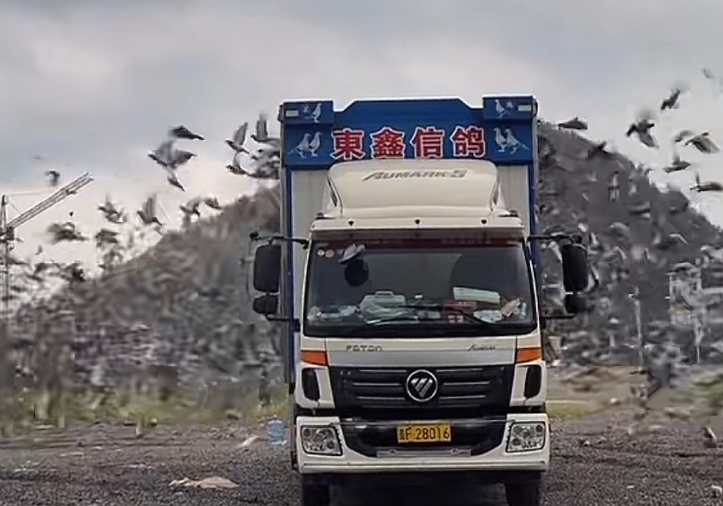 ������ʧ������ ��ʩ�ɱϽھ������ѣ�