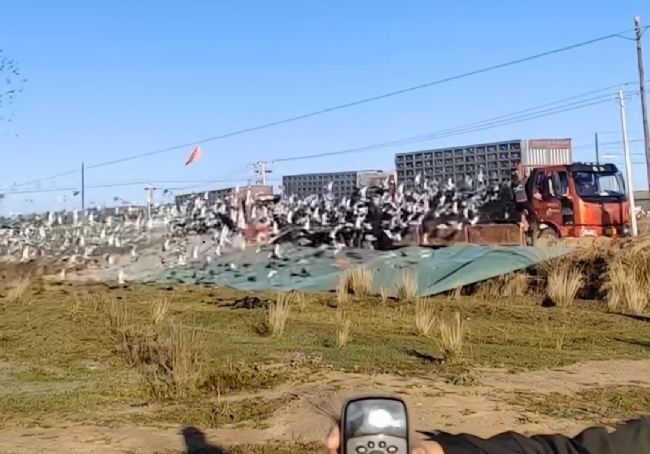 �ӱ�����ȫ����������ҹ��ﴵ���շ�վ����