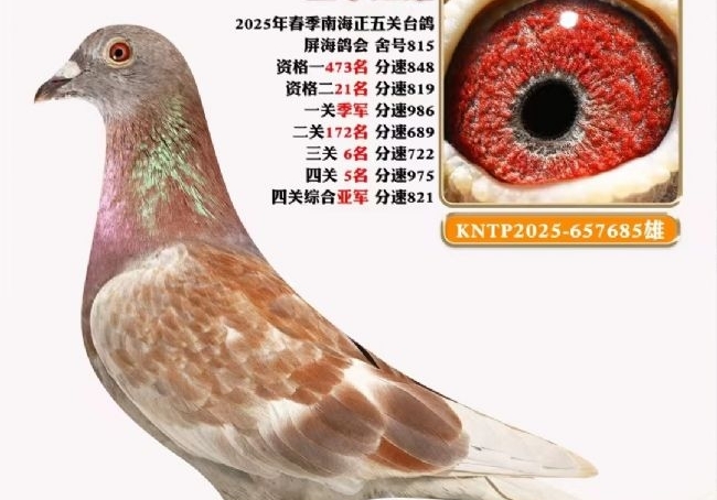 4�������9�� ��������̨������