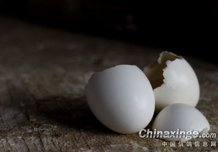 ��������ǿǿ���� ��ͨ����Ҫ������