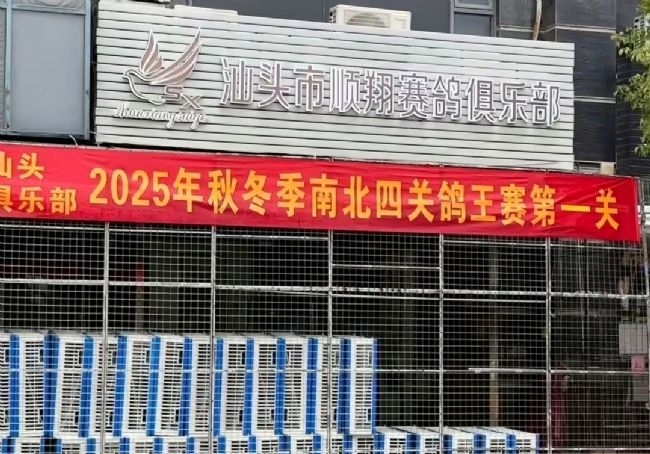 ̨������Ӽ�����·���㶫˳���׹����ɹ�