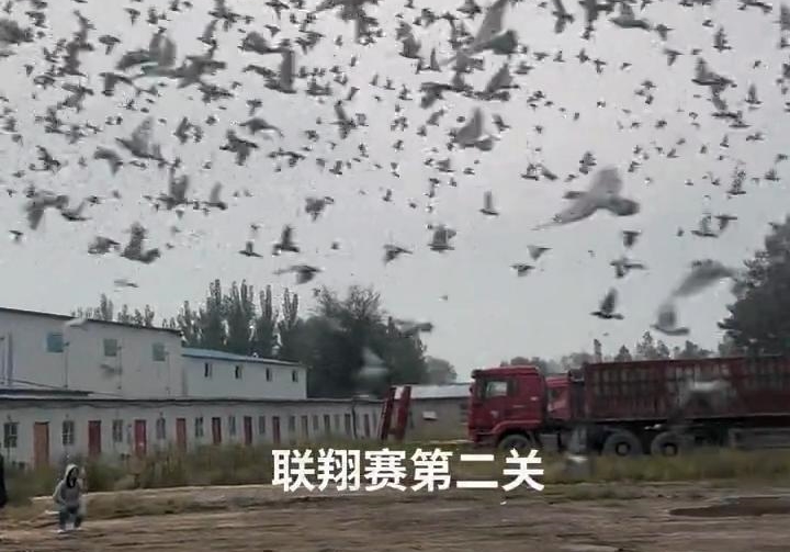 VIPѪͳǿ�ƵǶ� ʯ��ׯ��ǧ��ȫ��������ؽҰ�