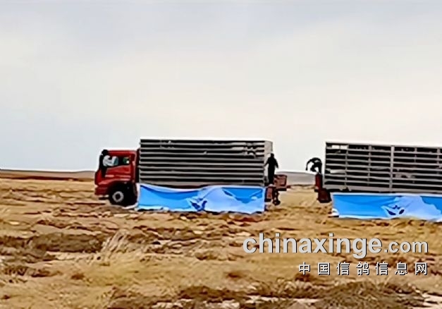 ������ǧ��һ�ɹ� ɽ��һ���ֲ����ؽҰ�