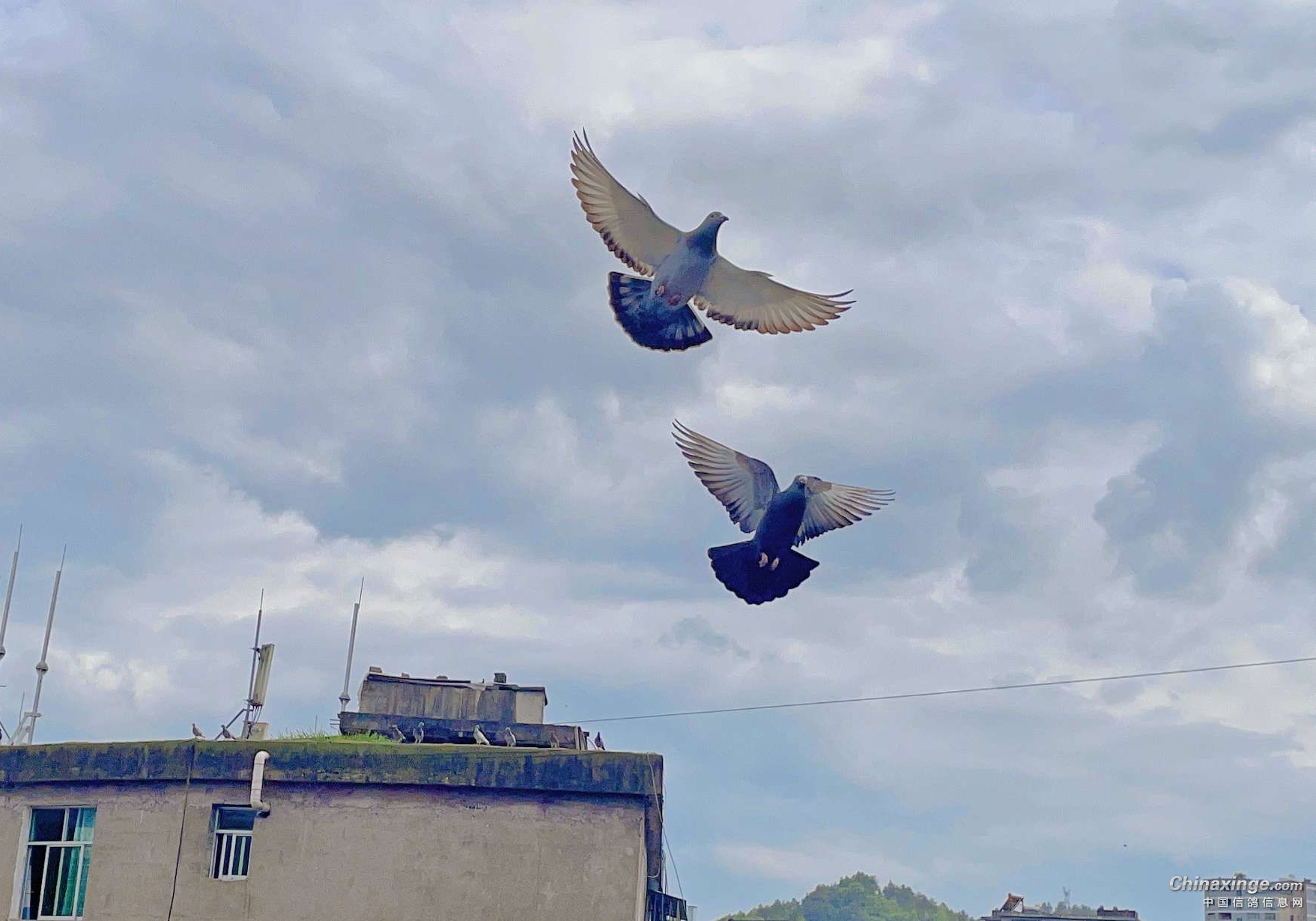 ���ø�������� ѧѧ��������·����