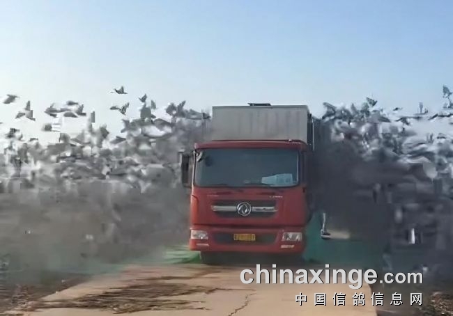 Ժ�����ǰ19 �ӱ������������ھ���¯