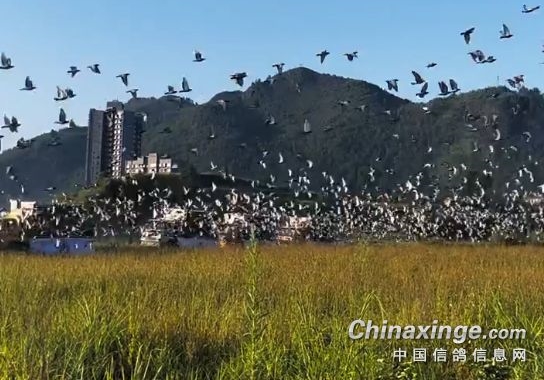 �Ⱦ������� ����̨�����عھ�����883