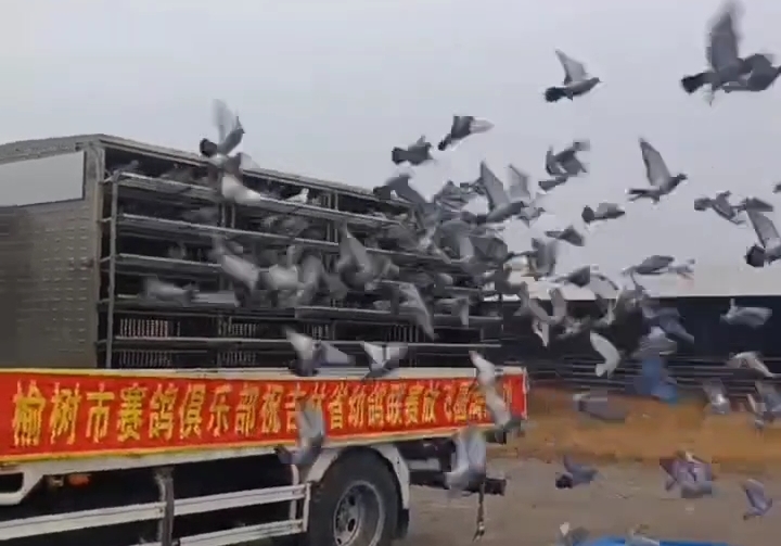 �����������棡����ȫʡ�׸��������ھ�����һǧ��