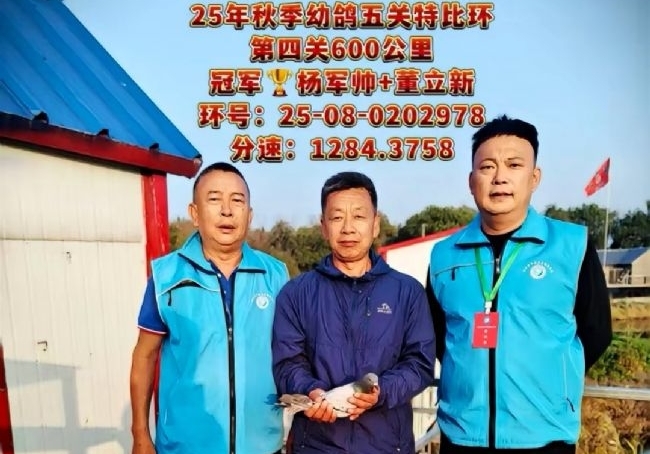 ǰʮ��������� �����������Ĺؽ��߳ɹ�