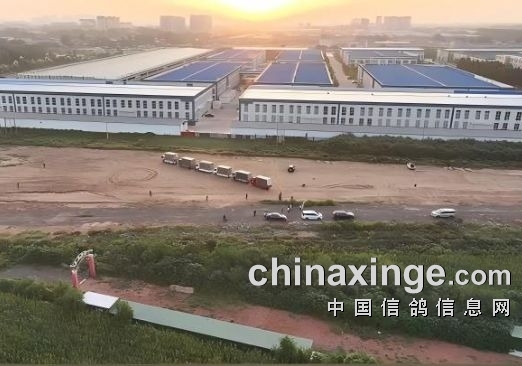 ʯׯվû壿ҿǡǡ෴