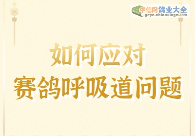 ����������������Ӧ�ԣ�